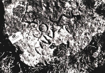 Libyan Rock Inscription