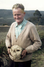 Mr W.F. [Bill] Gilroy, with the mineralised [limestone] hominid skull 
